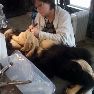 Meet your Posher, Deanna